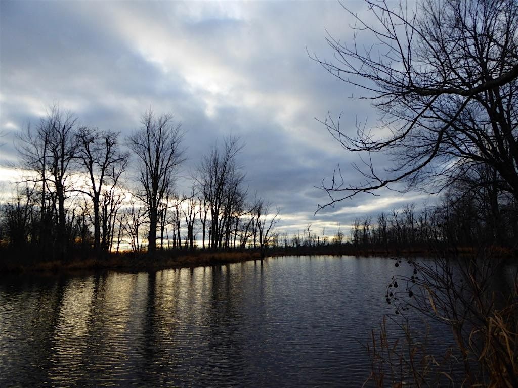 Daybreak Bird Walk, Missisquoi National Wildlife Refuge Maquam / Black Creek trail, Swanton