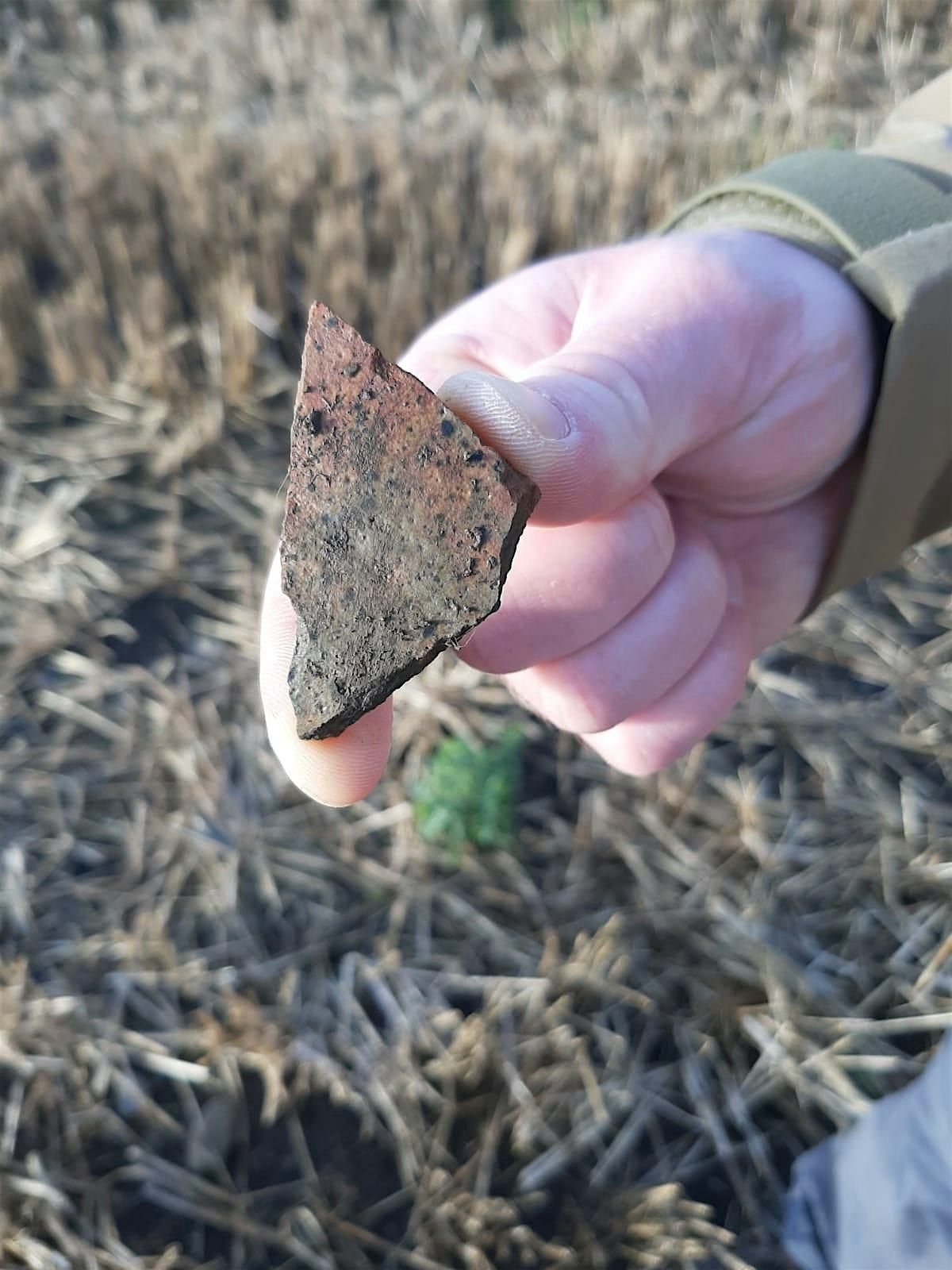 The Finds Table: bring your