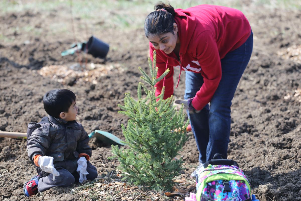 Islamic Relief Canada Community Planting, Timberlea Boulevard