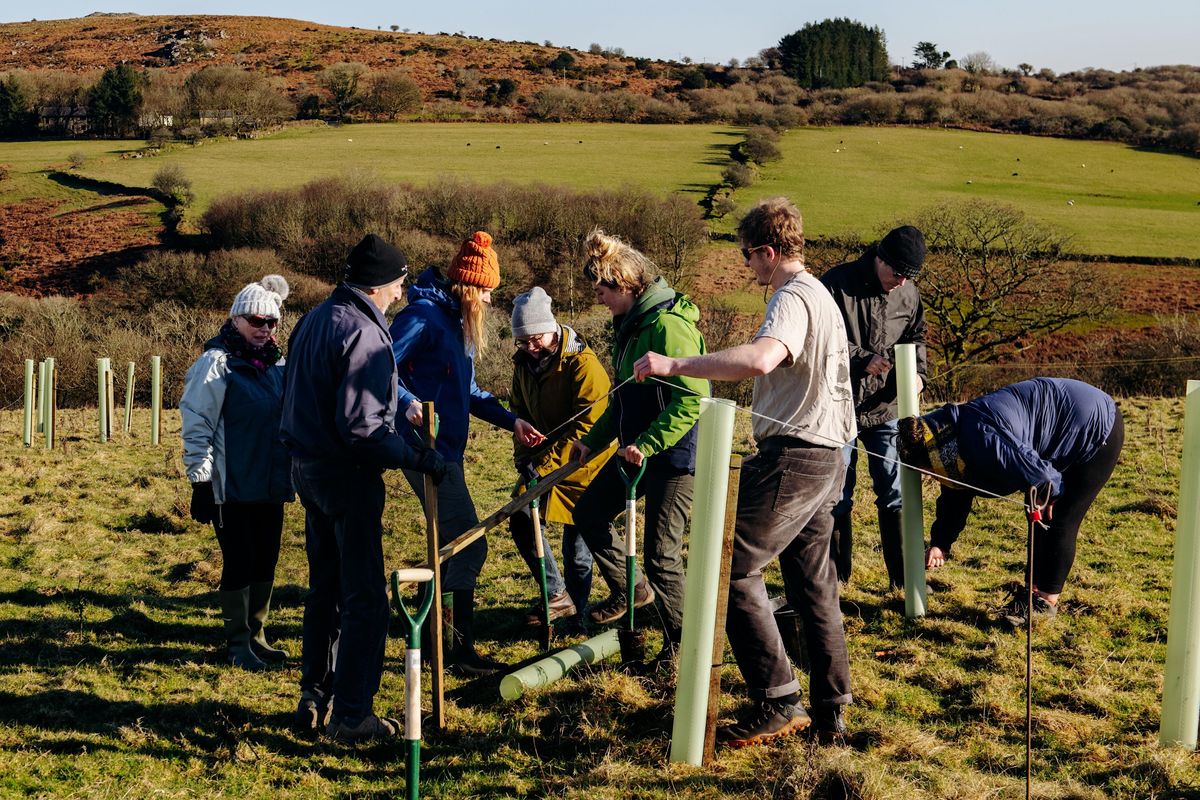Mena Farm Fat Buster Woodland Creation Day!, Mena Farm, Bodmin, January
