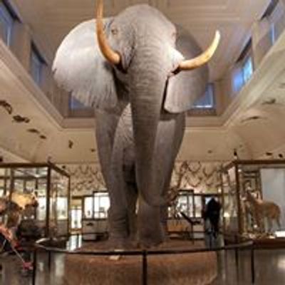 Göteborgs Naturhistoriska Museum