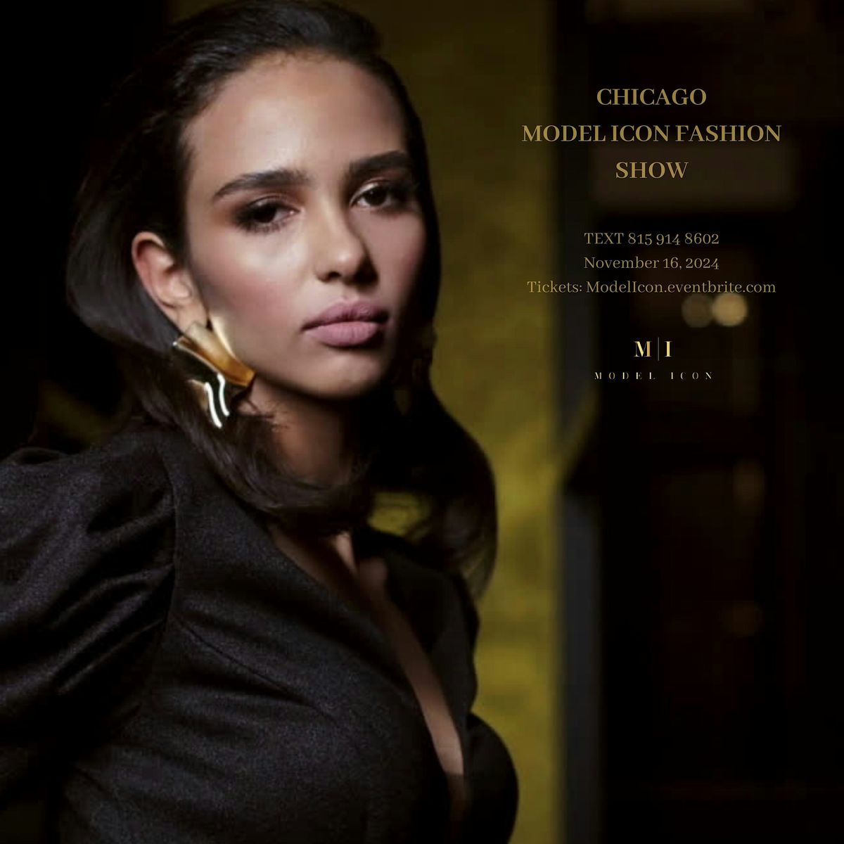 Chicago Model Icon Fashion Show, 5650 S Woodlawn Ave, Chicago, 16 ...