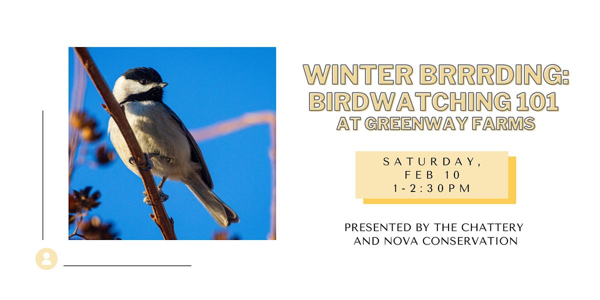 Winter Brrrding Birdwatching 101 at Greenway Farms OUTDOOR CLASS