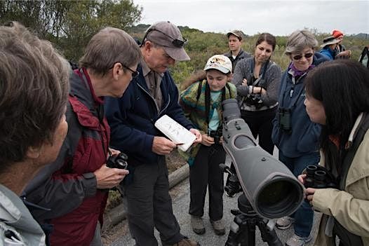 Early Bird Tour at the Elkhorn Slough Reserve | Event in Watsonville | AllEvents