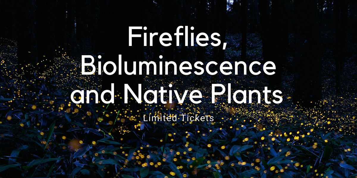 Fireflies, Bioluminescence and Native Plants June 29th, Blue Dot Acres ...