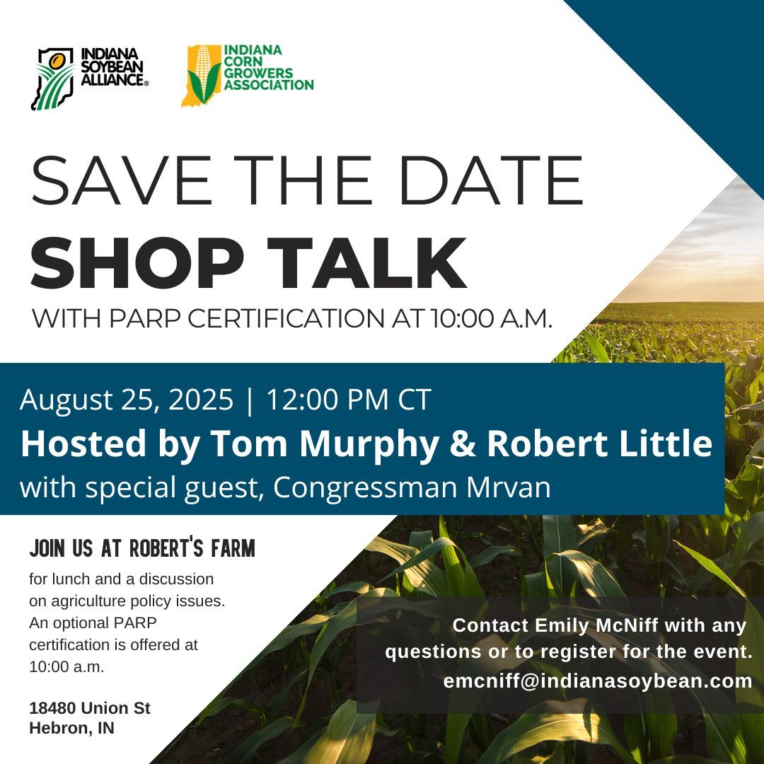 Rob Little, 11 December | Event in Albany | AllEvents