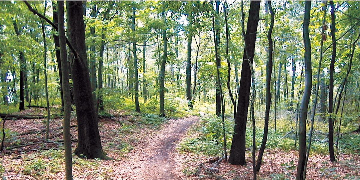 erca-deer-hunting-draw-2023-online-essex-30-june-2023-allevents-in