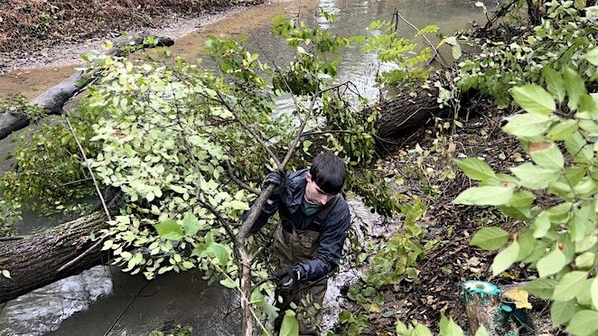 Stringers Branch Invasive Plant Removal | Event in Red Bank | AllEvents