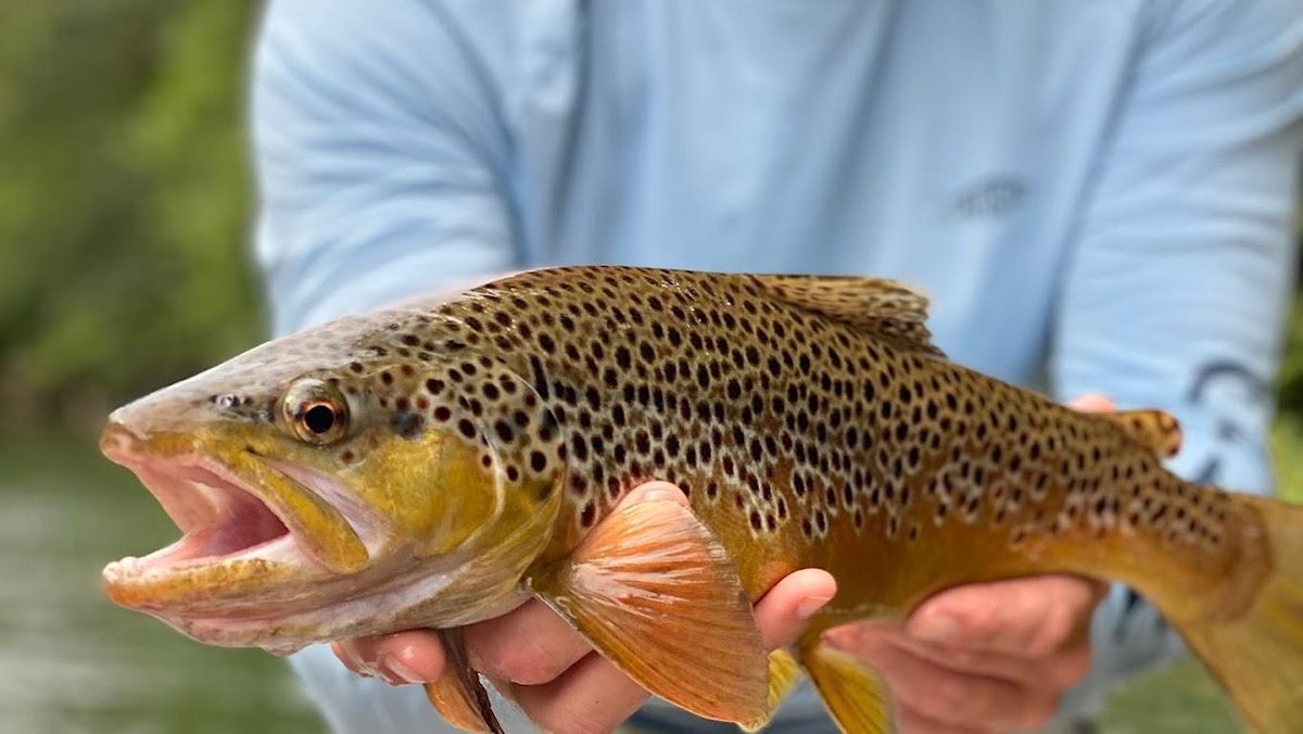 Alleghany Highlands Fly Fishing Presentation, Great Outdoor Provision