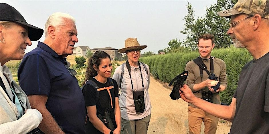 Monthly Bird Banding and Bird Walk | Event in Loveland | AllEvents