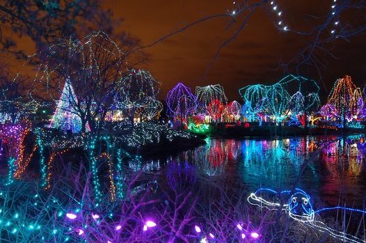 All Ages Are Welcome Evening At The Columbus Zoo Aquarium Wildlights Columbus Zoo And Aquarium Powell December 11 2021 Allevents In Christmas Lights Columbus Zoo Wildlights 2021