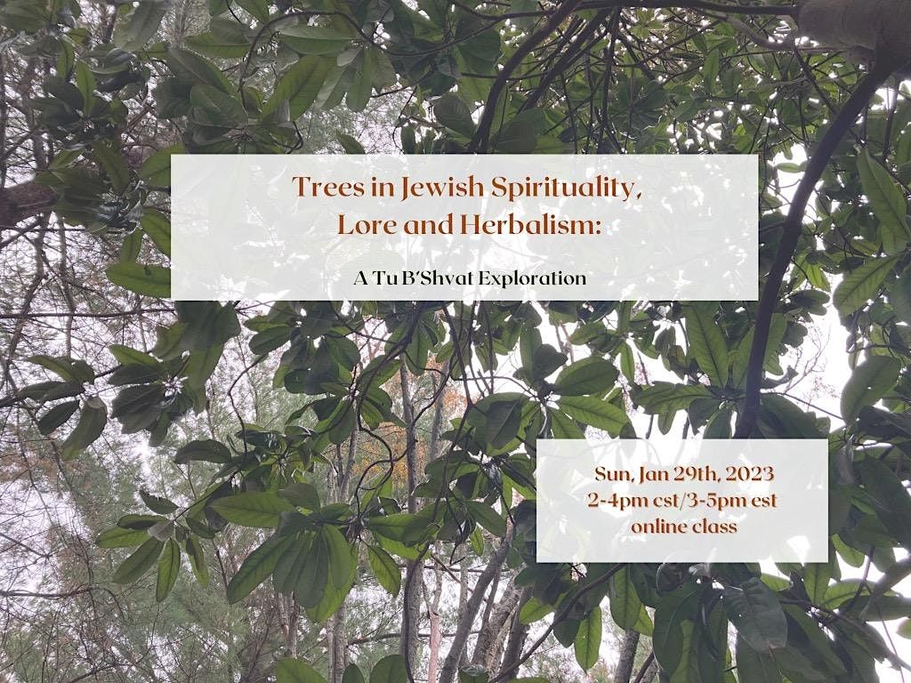 Trees in Jewish Spirituality, Lore and Herbalism A Tu B’Shvat