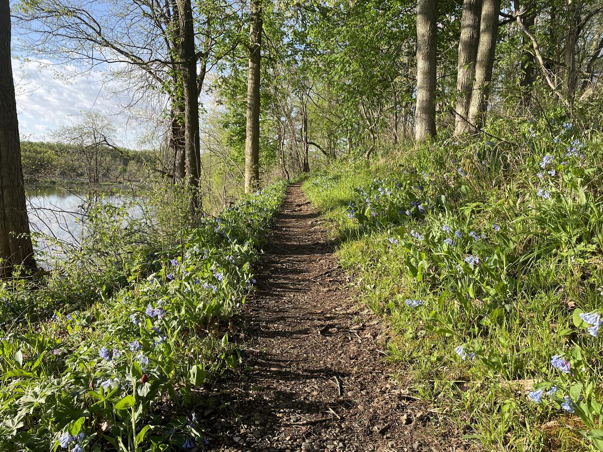 Technology news and reviews image