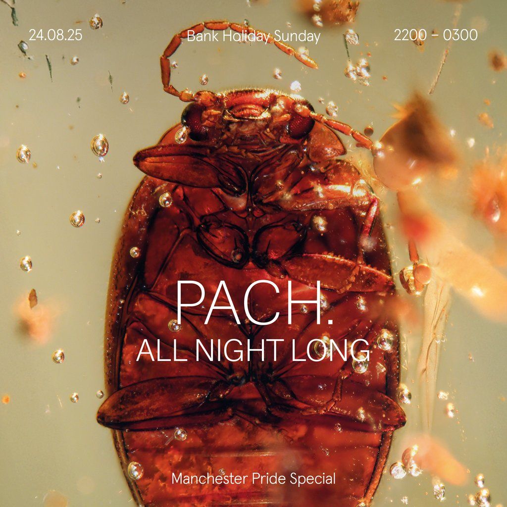 PACH. All Night Long, 24 August | Event in Manchester | AllEvents