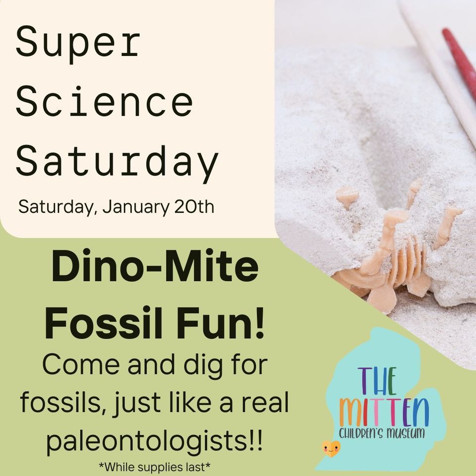 Super Science Saturday Fossil Fun, The Mitten Children's Museum, South