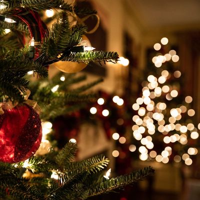 Baltimore Christmas Events 2022 CHRISTMAS AT CAIRN, Cairn University, Langhorne, December 9 2022