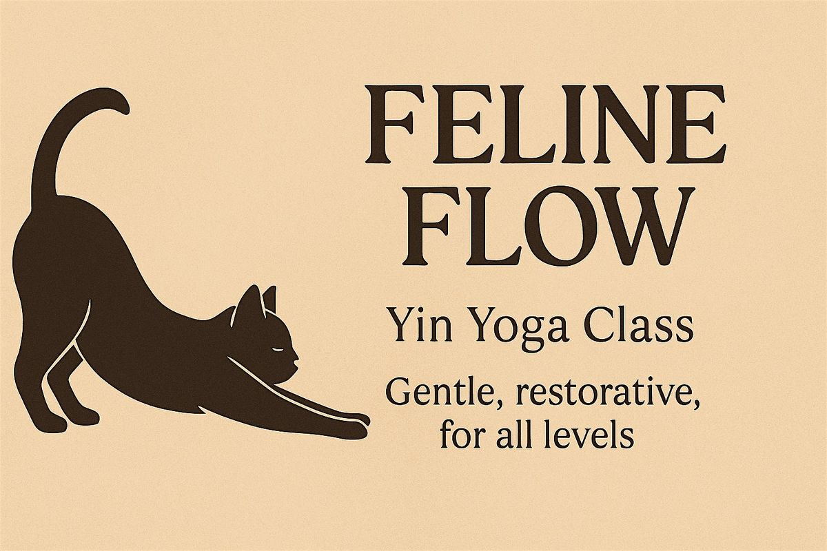 Feline Flow: Yin-Inspired Community Yoga Class | Event in Cambridge | AllEvents