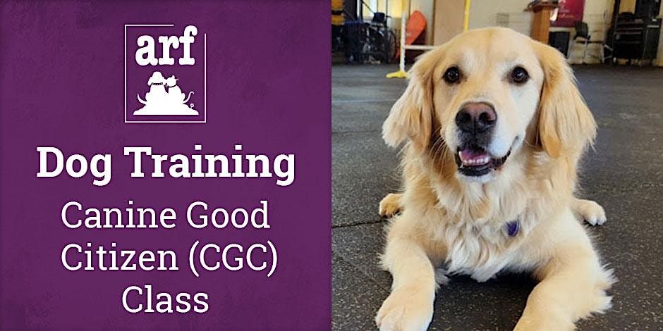 Dog Training - Canine Good Citizen Class, Animal Rescue Foundation ...