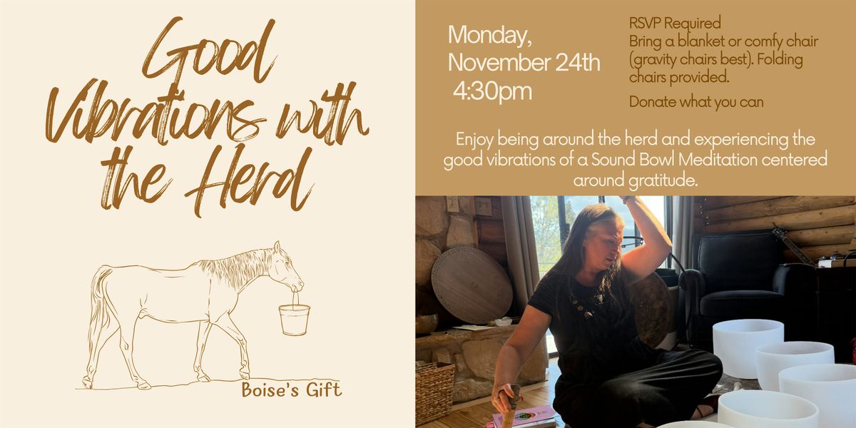 Sound Bowl Meditation with the Horses, 24 November | Event in Chandler | AllEvents