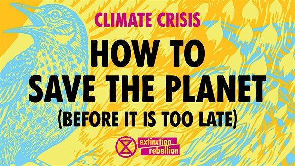 How To Save The Planet (before it is too late), Somerville Public