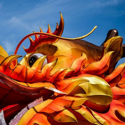 Lunar New Year Celebration!, Free Library of Philadelphia, February 24