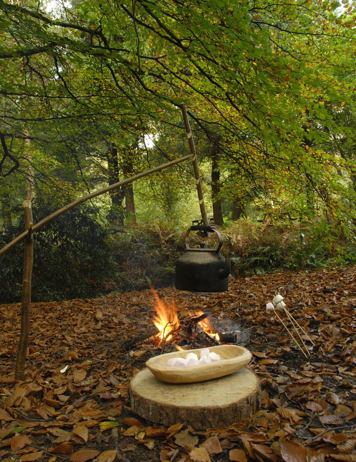 Childrens Activity Toddler Forest Fun Stover Country Park Newton Childrens Activity Toddler Forest Fun Stover Country Park Newton
