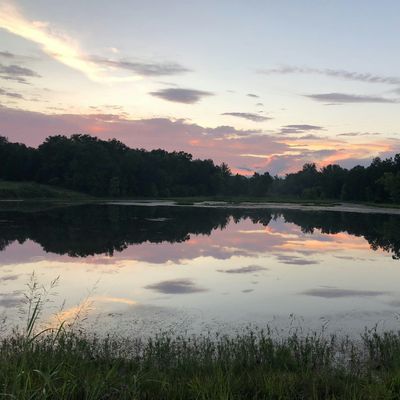 Old Man River Nature Retreat logo