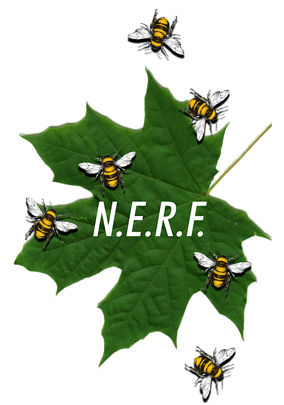 NERF Nature Education Resource Forum, 38185 Avenida La Cresta