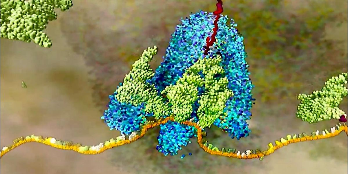 Saturday DNA! Protein Purification, Cold Spring Harbor Laboratory