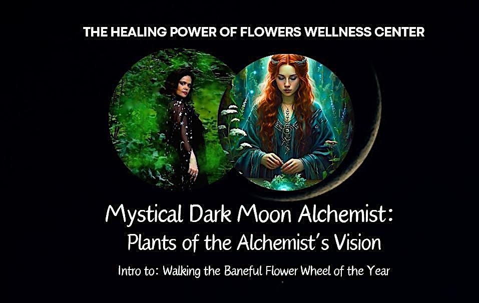 Mystical Dark Moon Alchemist:  Plants of the Alchemist’s Vision In-Person, 18 April | Event in Salem | AllEvents