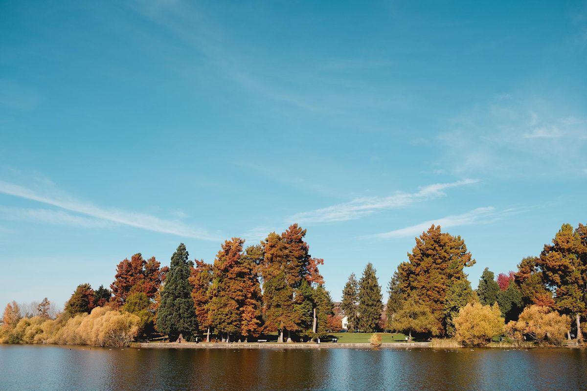 Film Photowalk Green Lake Green Lake Park Seattle 16 October