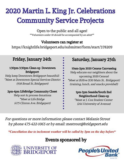 2020 Martin L King Jr Celebrations Community Service Projects At