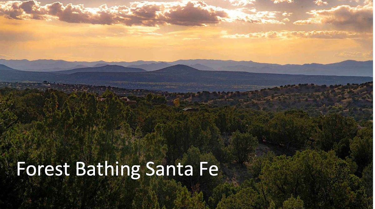 Forest Bathing Santa Fe Calabasas Trail Head (La Tierra Trails
