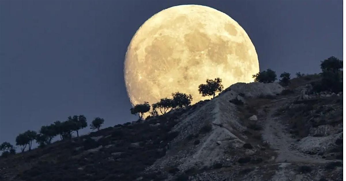 Full Moon Hike - Upton St Leonards to Painswick Beacon, 3 January | Event in Upton Saint Leonards | AllEvents