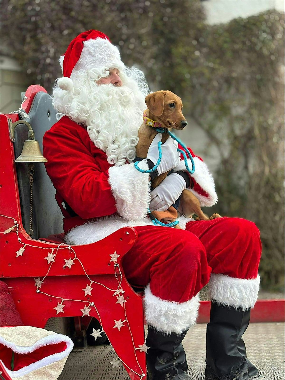 Paws & Presents with Santa at Tarvit | Event in Cupar | AllEvents