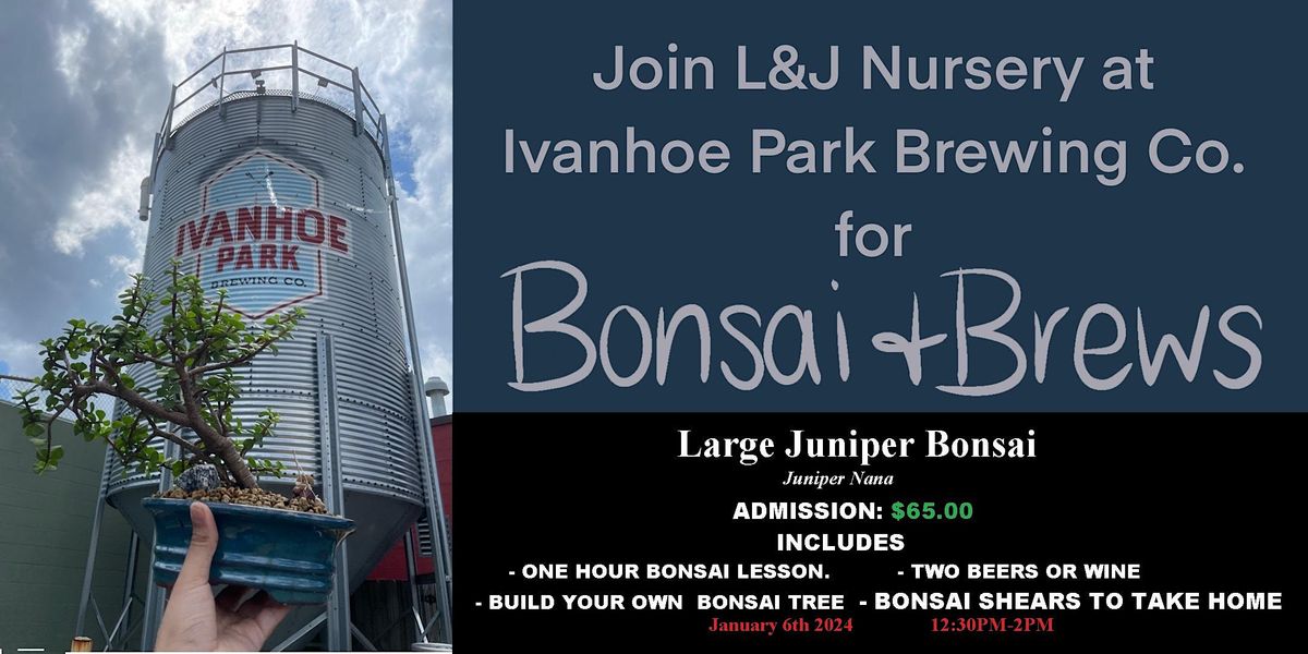 Bonsai and Brews with L&J Nursery and Ivanhoe Park Brewing Large