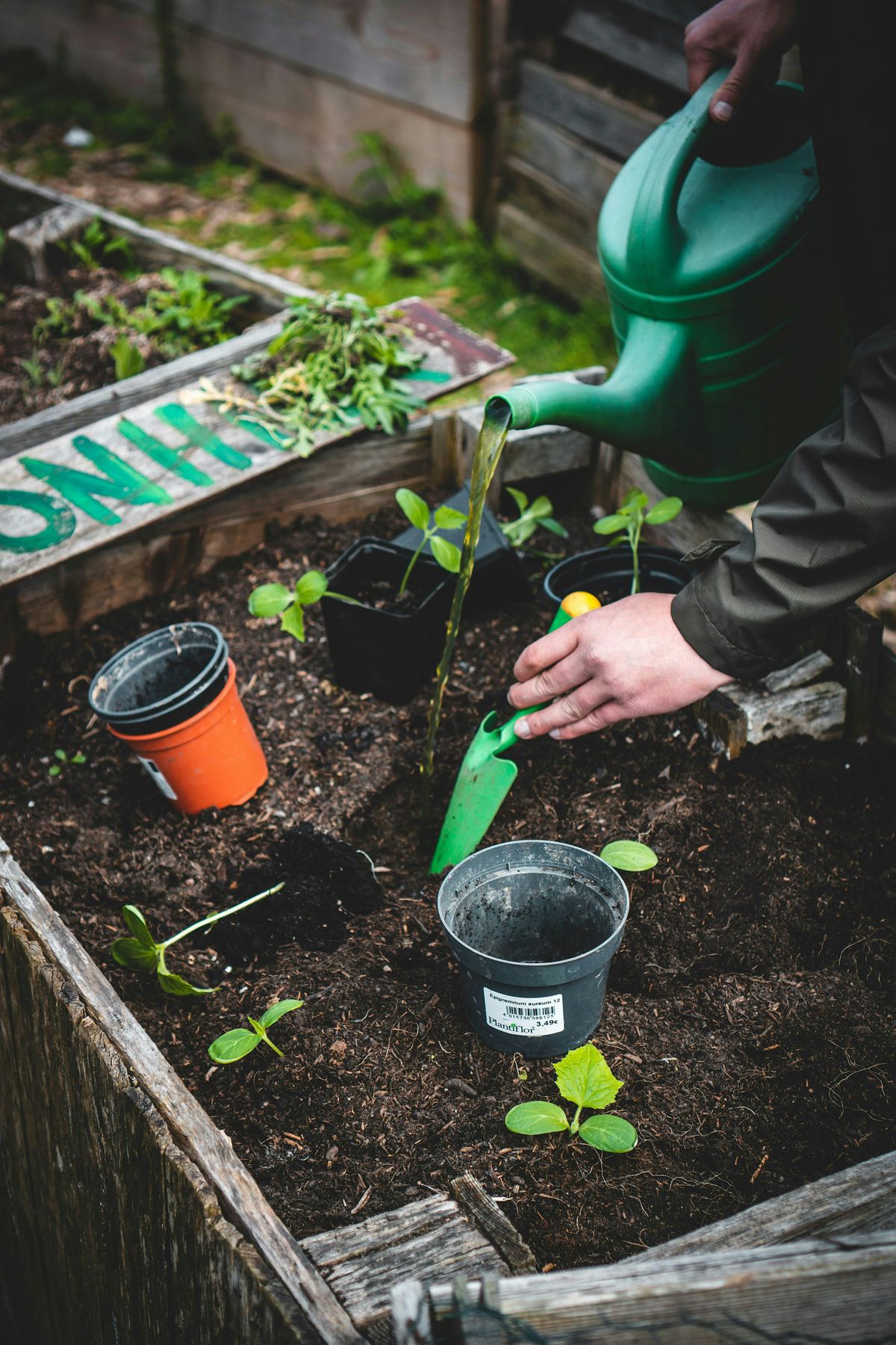 Intro to Gardening 1: Starting your First Garden, 19 February | Event in Pittsburgh | AllEvents