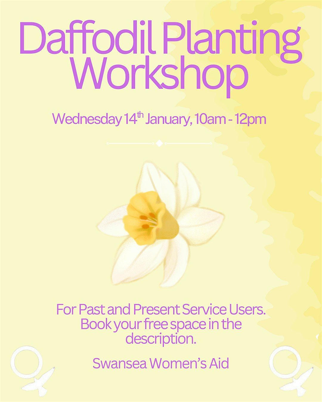 Daffodil Planting with Swansea Womens Aid