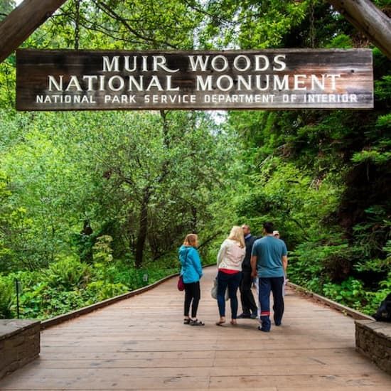 Muir Woods & Sausalito: Morning Tour from San Francisco | Event in San Francisco | AllEvents