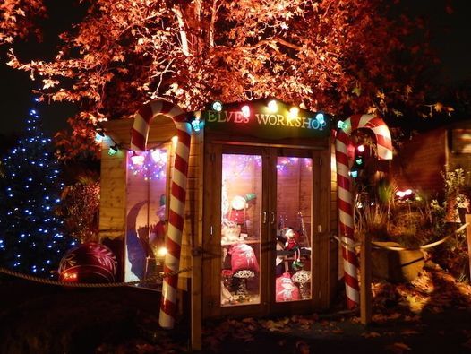 Christmas At London Zoo 2021 November 28 2021 Online Event Allevents In