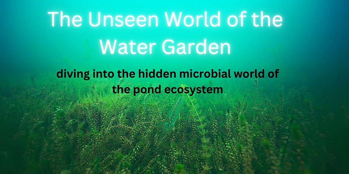 The Unseen World of the Water Garden, Garden Ponds, Kilauea, January 13