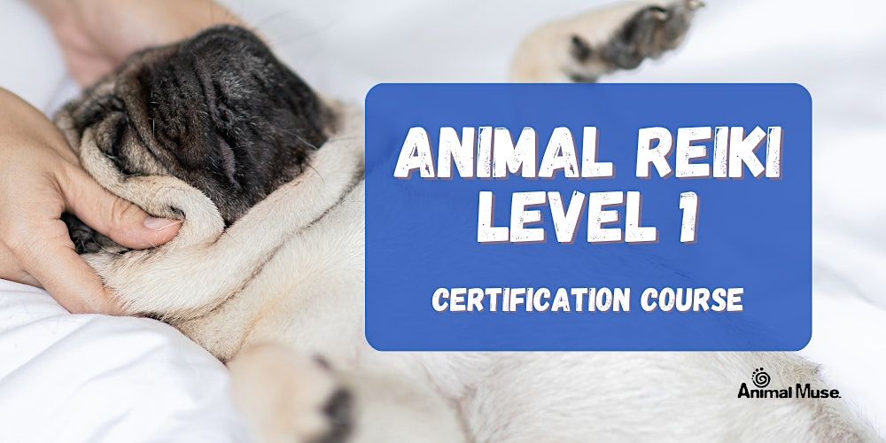 Animal Reiki Level 1 Certification Course | Online Event | AllEvents.in