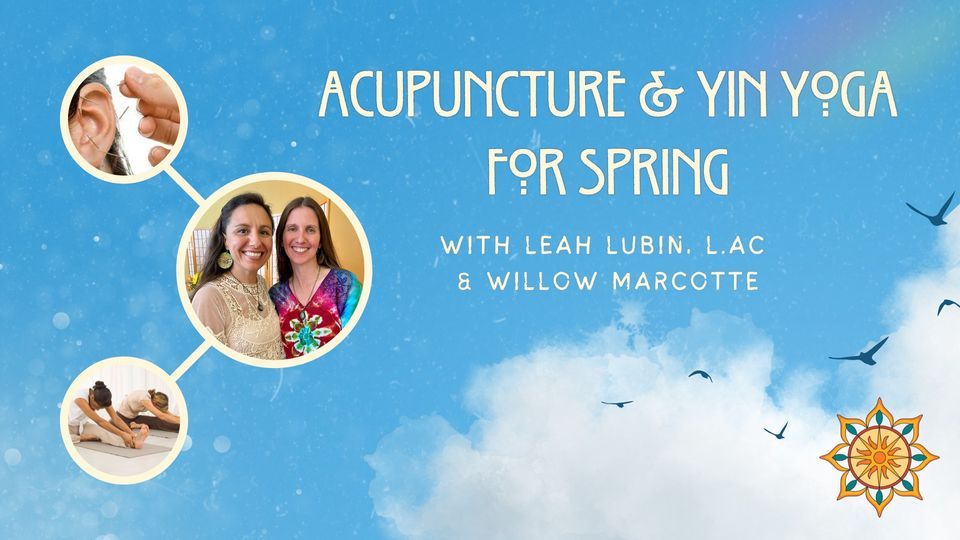 Acupuncture and Yin Yoga for Spring with Leah Lubin, L.Ac & Willow ...