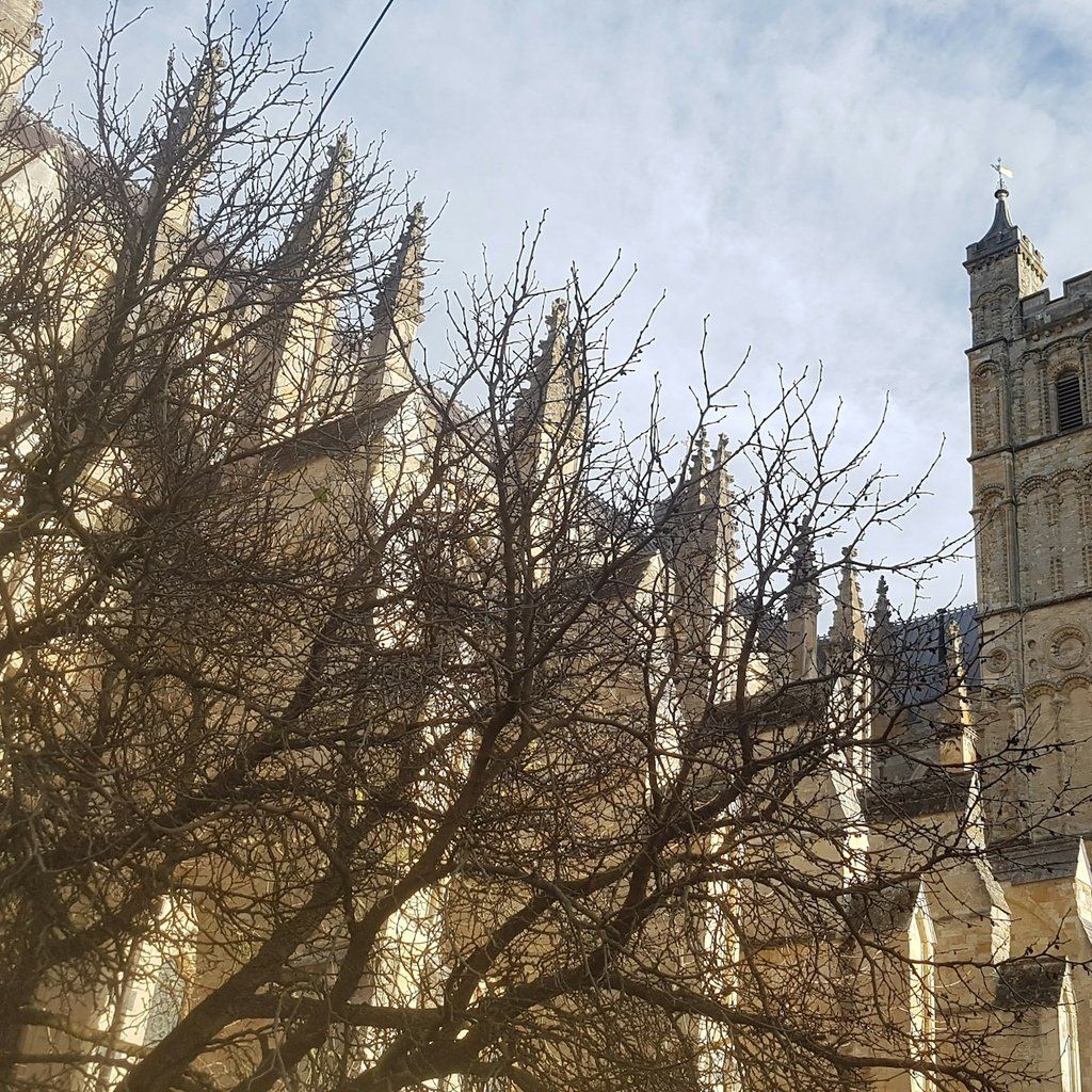 Exeter Audio Tour: Everyday Histories, Royal Albert Memorial Museum ...