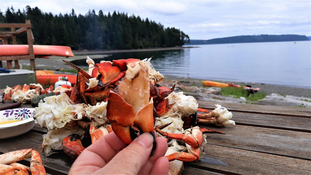 Kayak Crabbing Package, Hood Canal Adventures Yelvik's Beach, Brinnon