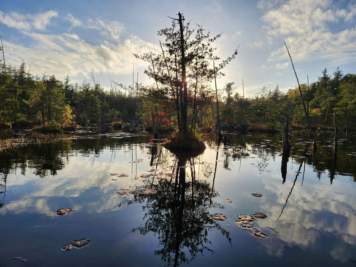 Fall Family Wilderness Skills Weekend, October 24-26, 24 October | Event in Waretown | AllEvents