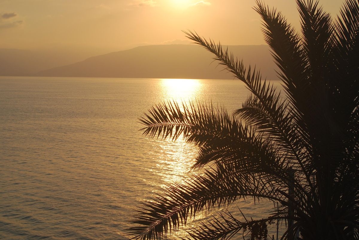 Understanding American Citizenship, Virginia Christian Alliance ...