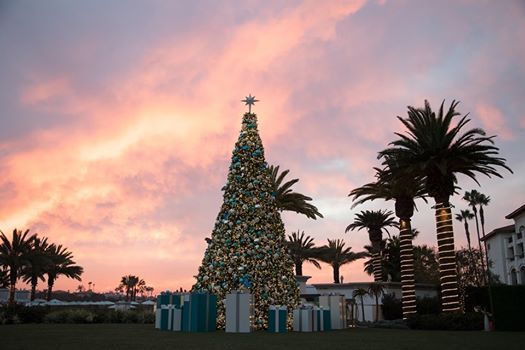 Merry Monarch Celebration At One Monarch Beach Resort