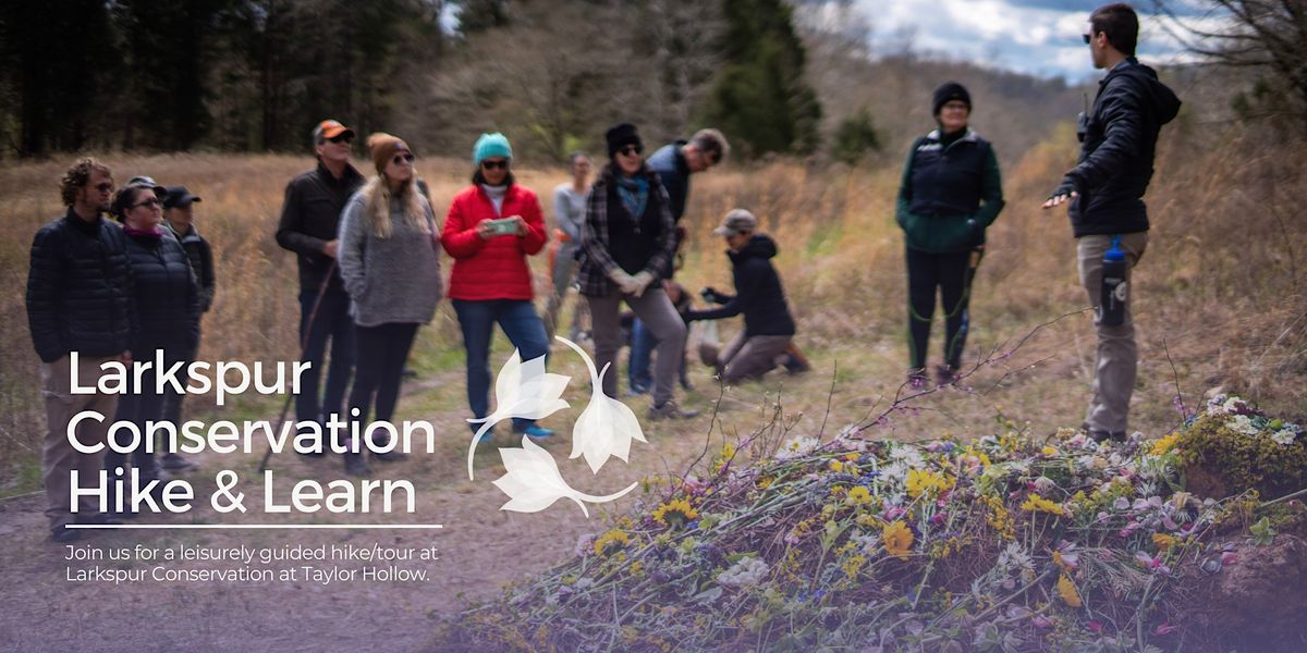 Larkspur Hike and Learn, Larkspur Conservation at Taylor Hollow