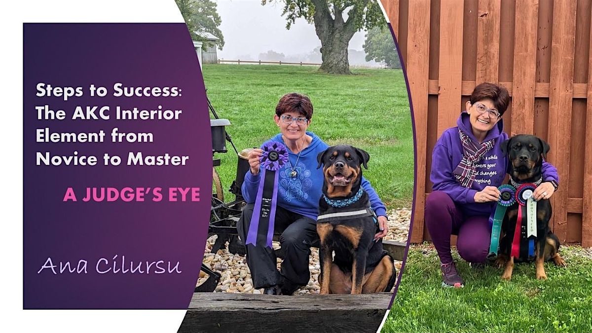 The Judges Eye Steps to Success in AKC Interiors with Ana Cilursu